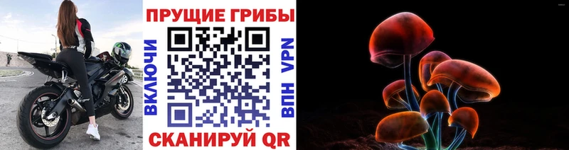 Псилоцибиновые грибы Cubensis  Купить  Артёмовский 